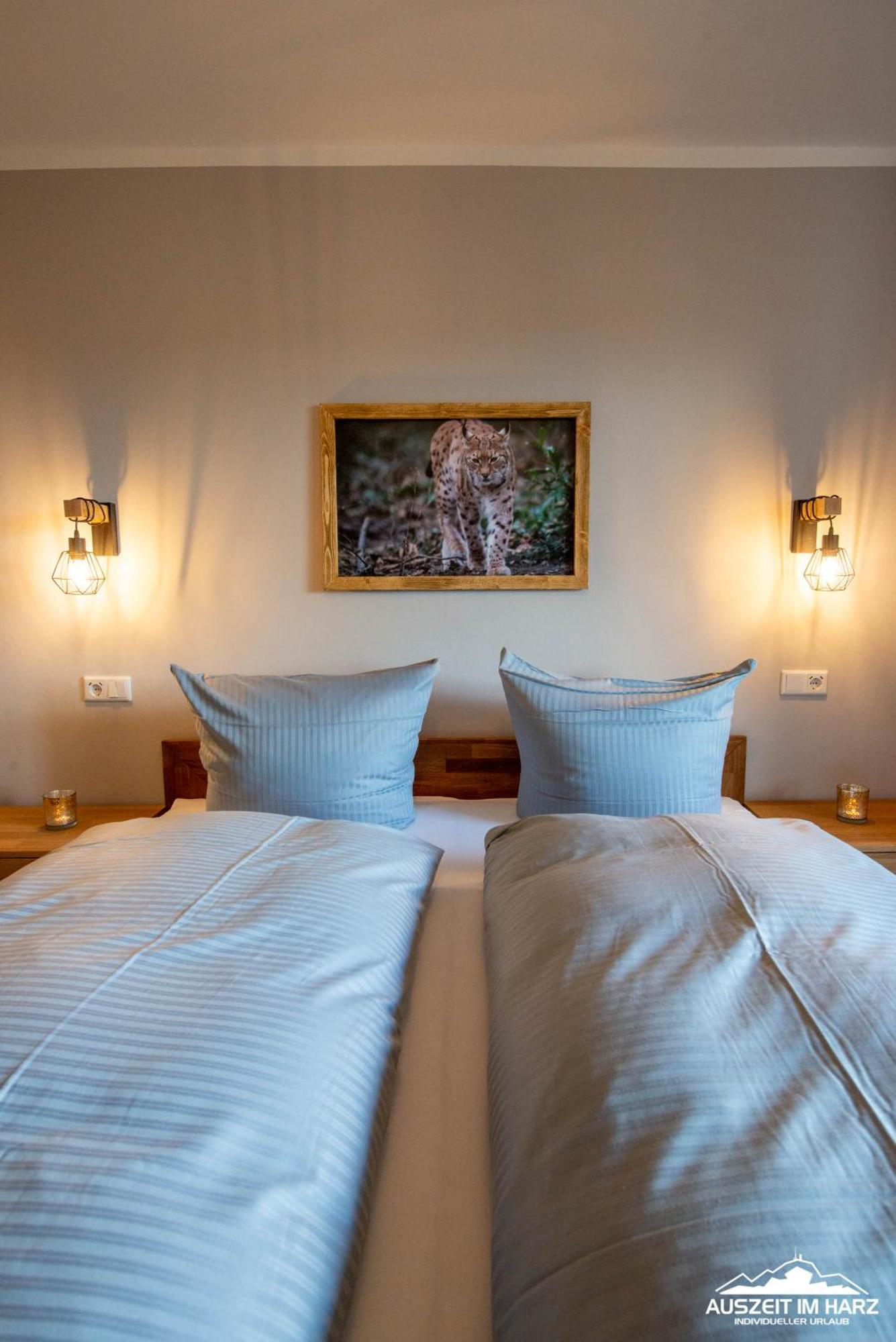 Auszeit-Im-Harz Haus 3 Wohnung 3 Браунлаге Экстерьер фото